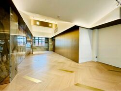 Boat Quay Conservation Area (D1), Shop House #454760201